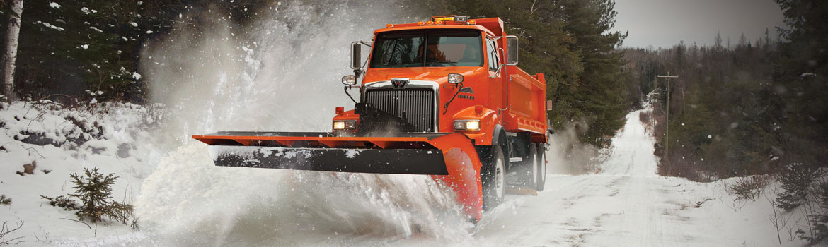 2017 Western Star 4800 for sale in Truck Centers, Inc., Troy, Illinois